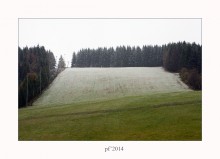 Landschaft mit Bäumen. PF  &#39;2014 / *****