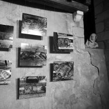 Ah ... Opening Day ... / ***