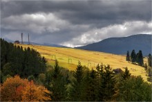 Herbst Kontraste / ***