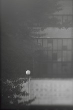 Leben vokrush / ***