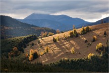 Auf den Berghängen / ***