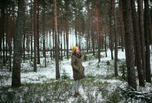 Winter-Wald / ***