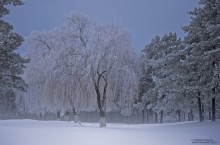 Winterabend am Rande der Stadt / ***