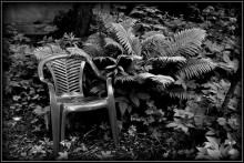 Stuhl / ***