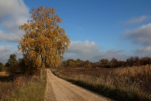 auf dem Weg zu Opochinskoe / ***