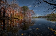 Transparent Autumn (Moriss Isl) / Transparent Autumn (Moriss Isl)