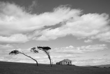 Der Wind / Maria island