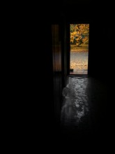 Eingang zum Herbst / ***