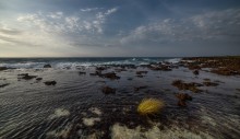 Roatan ~ sea edge / Roatan ~ sea edge