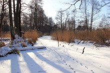 Winter-Stokhid / ***