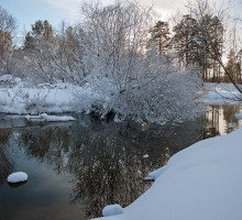 Der Charme der jungen Winter / ***