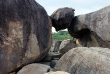 Steingarten-Hon Chong / ***