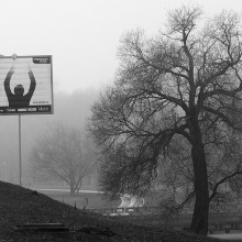 Solch ein Baum oder in einem Nebel, Armin / ***