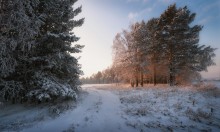 In den Strahlen der Sonne Dezember ... / ***