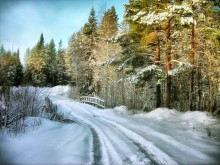 Zwei Wochen bis zum Frühling .. / ****