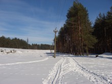 Kiefer / raw therapee