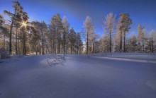 Winter / mongolia