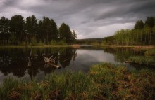 Abend auf dem See im Wald ... 2 / ***