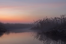 Morgen auf dem Fluss / ***