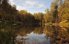 Overgrown Teich / ***