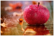Stilleben mit Äpfeln und Herbst regen / ***