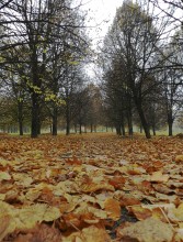 Herbst-Straße / ...