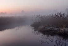 Frühling Nebel / ***