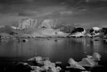 Schwarze und weiße Träume ... Antarktis ... / ***