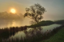 A foggy morning. / yesterday a very foggy morning in my region.