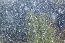 Und der Schnee fiel Mitte April / ***