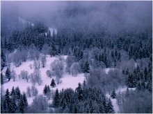 Die Chroniken von Narnia, Smoky Wald / ***