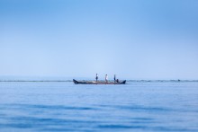 Fischer Vembanad Lake / ***