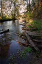 Usha über den Fluss und seine Ufer / ***