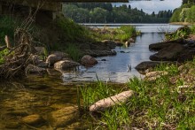 Unter der Brücke / ***