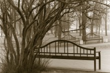 Warten auf den Frühling / ***