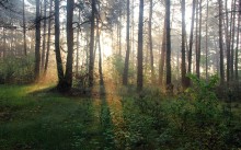 Morgendämmerung auf der Kante / ***