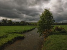 Vor dem Sturm ... oder &quot;jetzt zhakhnet&quot; ... / ***