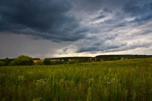 Vor dem regen. / fields of gold