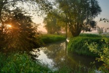 A summer morning. / Yesterday taken in my region.