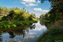 Fluss in den Wald / ***