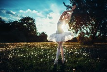 Sunny ballet / ***