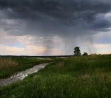 Laufend vom regen / ***