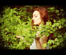 Frische / ***