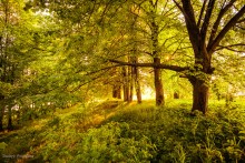 An einem sonnigen Nachmittag ... / ***