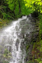 Wasserfall / ***