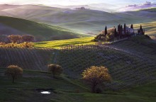 Tuscan Morning / Morning light across Val d'Orcia