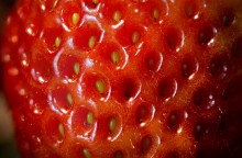 Erdbeeren / ***