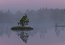 Mists of Karelia / ***