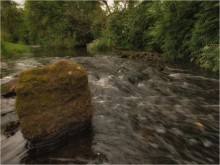 Stein über das Wasser ... und schnell ... / ***