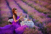 Fotografieren Lavendelfeld in der Krim / ***